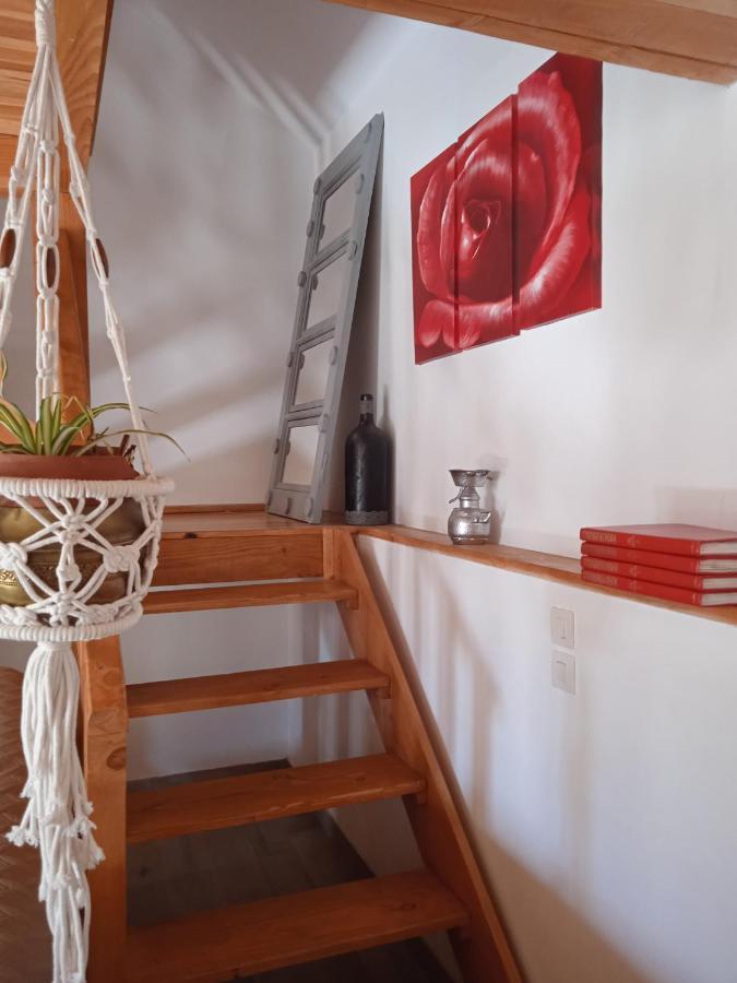 Charmante Petite Maison Bergerac Zewnętrze zdjęcie